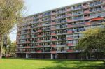 Trekvogelweg  3815LJ Amersfoort