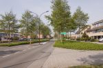  (Nieuwland) Zeepkruid 3824NB Amersfoort