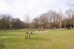  (Bergkwartier) Surinamelaan  3818TH Amersfoort