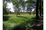  (Hoogland) Park Schoonoord 3828 AK Hoogland