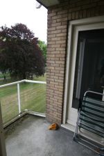  (De Bilt) Soestdijkseweg Zuid 3732 HE De Bilt