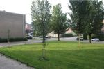  (Liendert) Trekvogelweg 3815LC Amersfoort