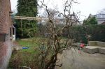  (Soest) Olijkeweg  3764CZ Soest