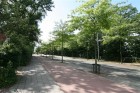  (Bergkwartier) Barchman Wuytierslaan  3818LH Amersfoort