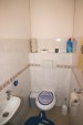  (Hoogland) Tarwekamp 3828HZ Hoogland