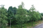  (Zielhorst)   Amersfoort